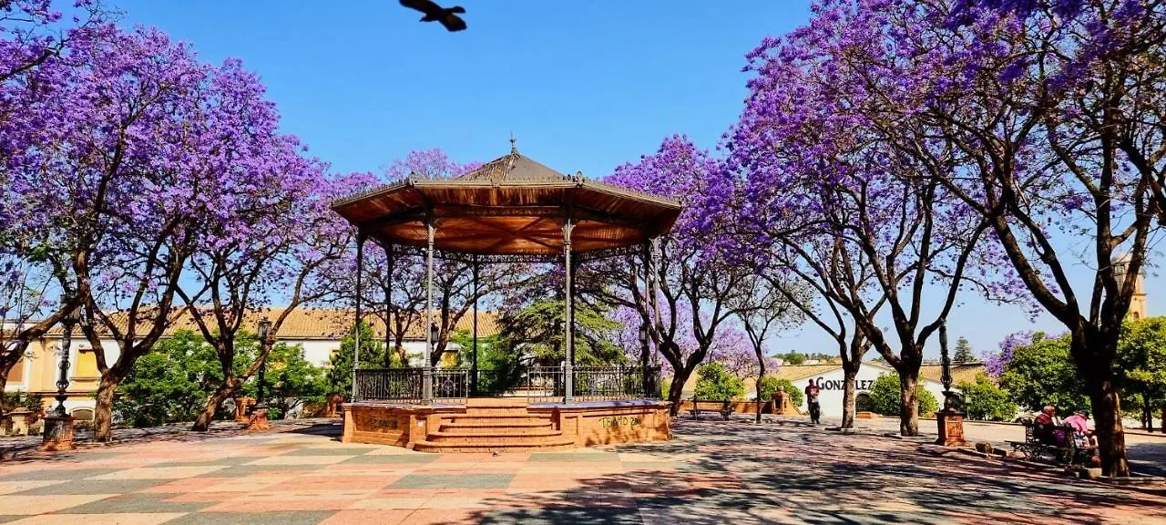 Alazan Jerez Iv-Parking Gratis-Wifi-Netflix Apartment Jerez de la Frontera Spain